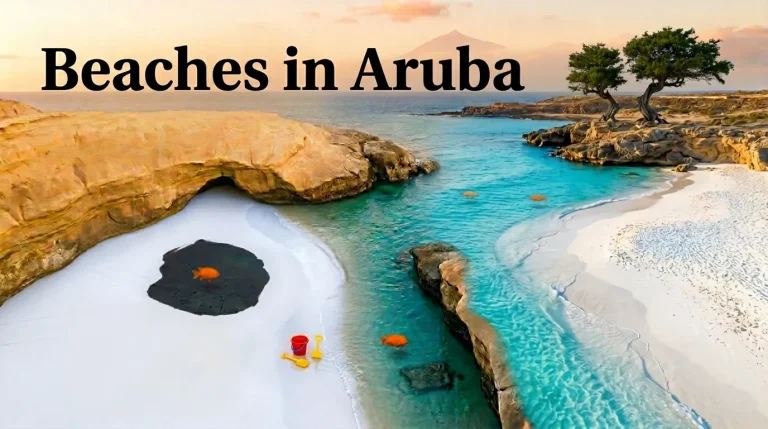 Aerial flat-lay of a pristine Aruban beach with turquoise water, white sand, and iconic Fofoti trees, perfect for a 2026 trip.
