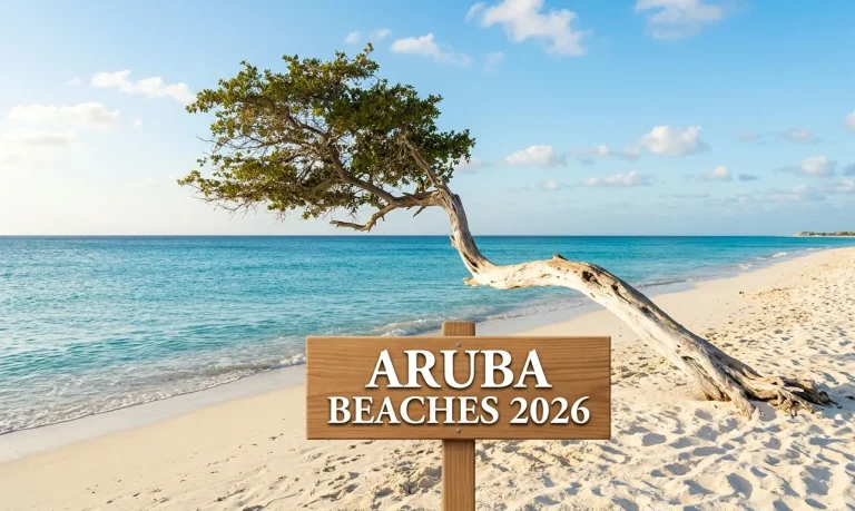 Aruba Beaches 2026: 10 Best Rated & Ranked Guide