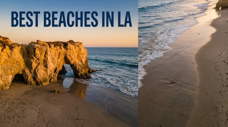 Overhead flat-lay of a golden sunset at El Matador State Beach with the text best beaches in la.
