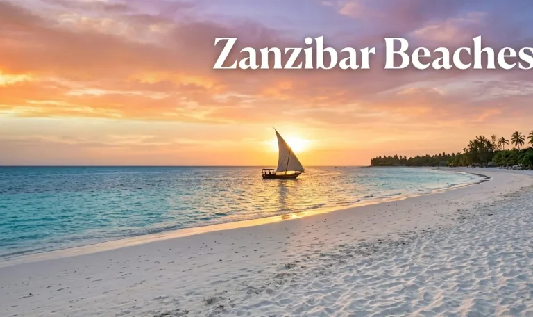 Zanzibar Beaches