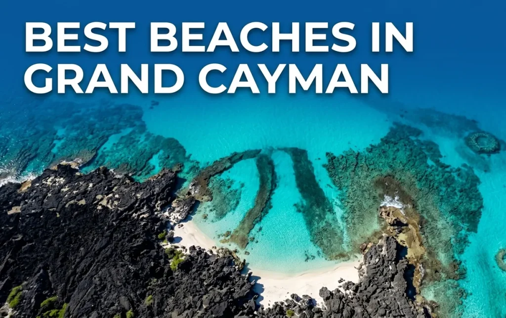 An aerial view of Smith Cove, one of the best beaches in Grand Cayman for snorkeling, with turquoise water and black rock.