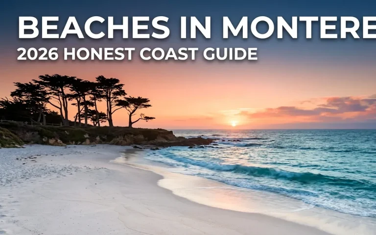 Carmel Beach at sunset with white sand, turquoise waves, and cypress trees showing the scenic beauty of beaches in Monterey California.